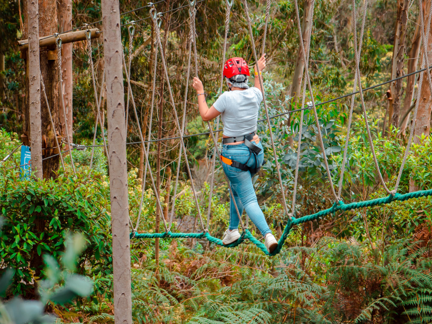 Plan circuito aventura orangutan kombay via la vega 4 Plan circuito aventura orangutan kombay via la vega 4